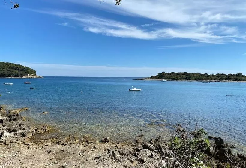 ホテル Campsite Piccolo