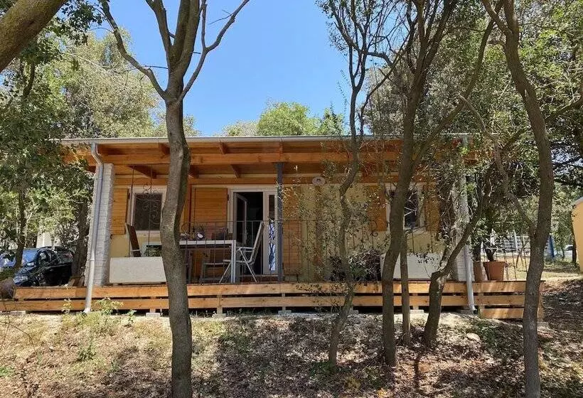 ホテル Campsite Piccolo