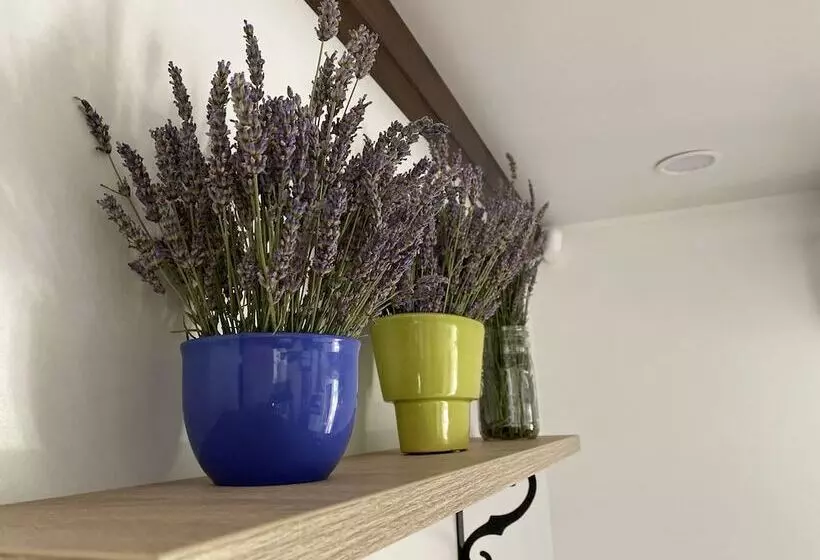 ホテル Campsite Piccolo