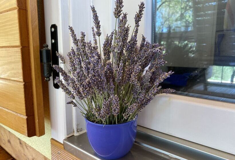 酒店 Campsite Piccolo