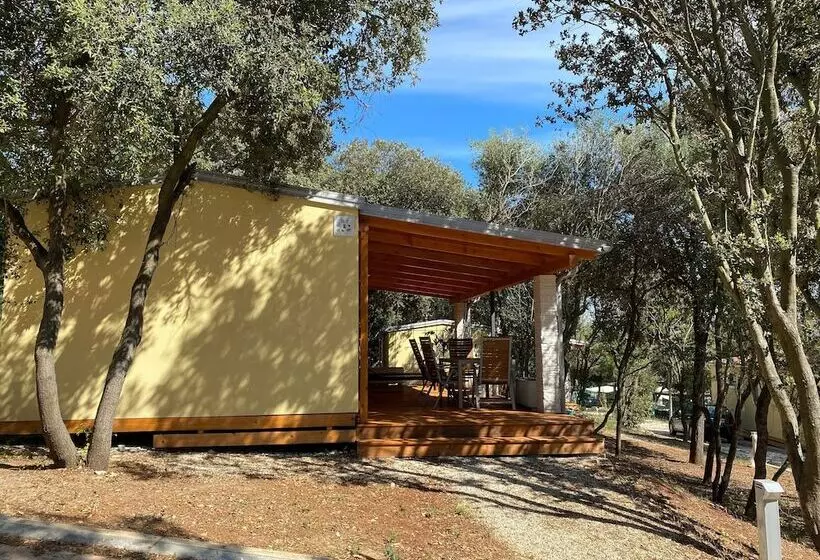 ホテル Campsite Piccolo