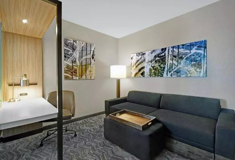 Hotelli Springhill Suites By Marriott St. Paul Arden Hills