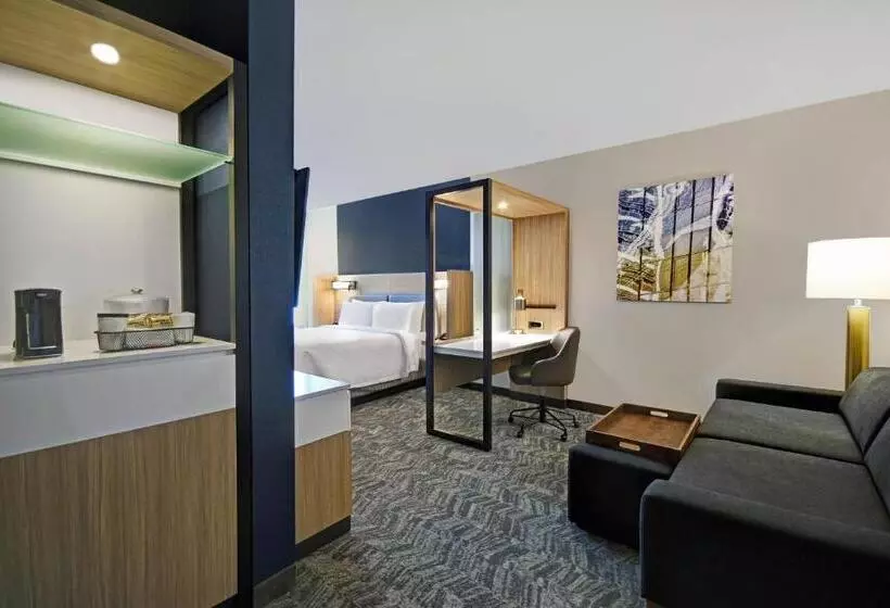 Hotelli Springhill Suites By Marriott St. Paul Arden Hills