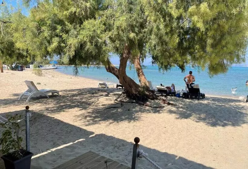 ペンション Kontogoni Rooms