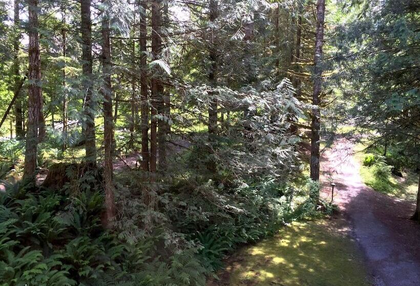 28sw   Fireplace   Dishwasher   Washer/dryer   Sleeps 4