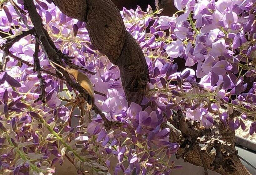 צימר Le Jardin De Félicie