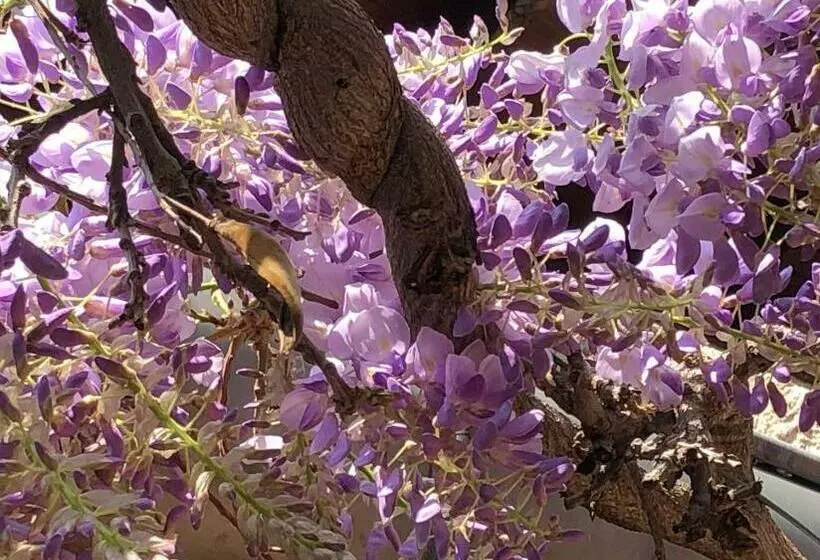 Aamiaismajoitus (B&B) Le Jardin De Félicie
