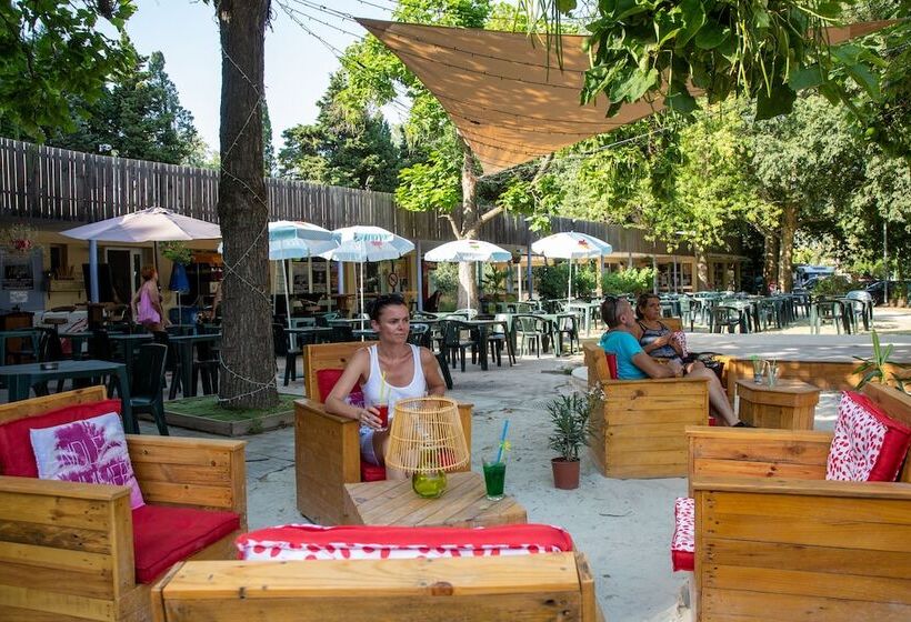 هتل Camping Du Pont D Avignon