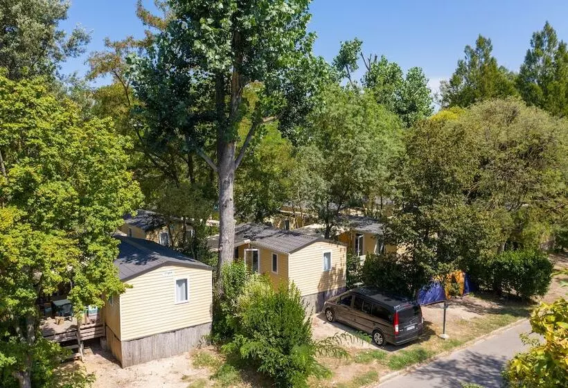 هتل Camping Du Pont D Avignon