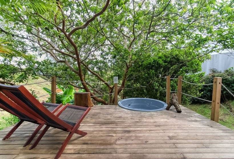 בית מלון כפרי Teva Glamping & Retreat