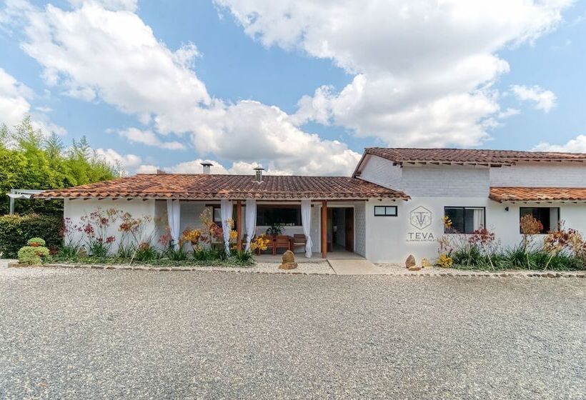 בית מלון כפרי Teva Glamping & Retreat