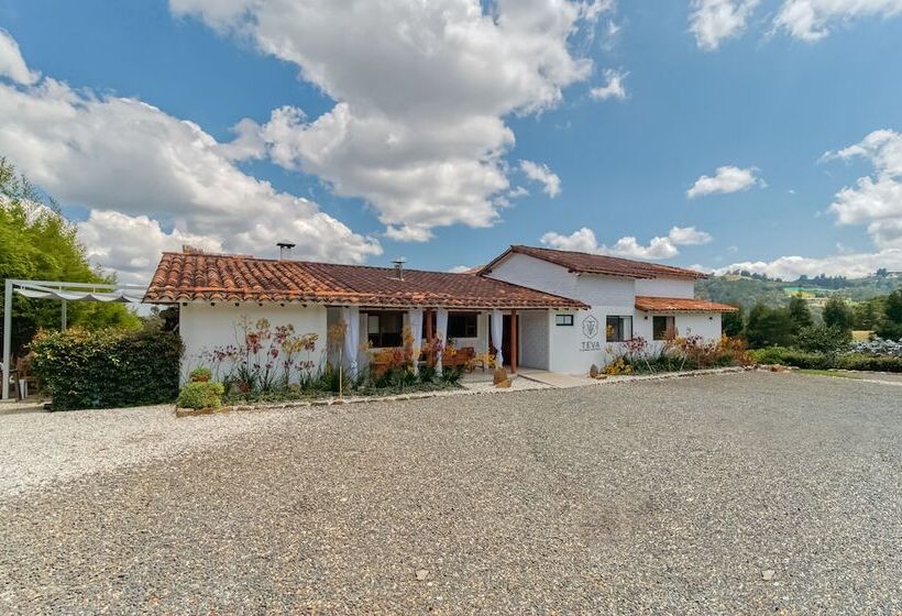 בית מלון כפרי Teva Glamping & Retreat