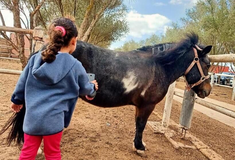 Отель Equi Palace & Spa Near Aeroport