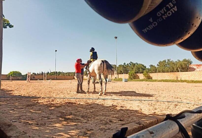 Отель Equi Palace & Spa Near Aeroport