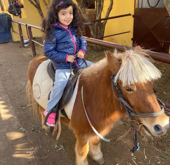 Отель Equi Palace & Spa Near Aeroport