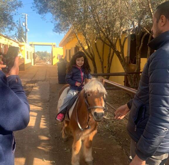 Отель Equi Palace & Spa Near Aeroport