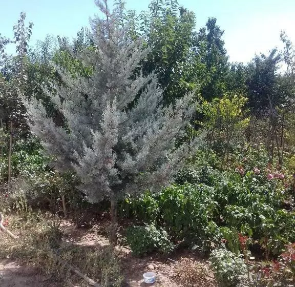 Pensiunea Agroturistică Angheliki