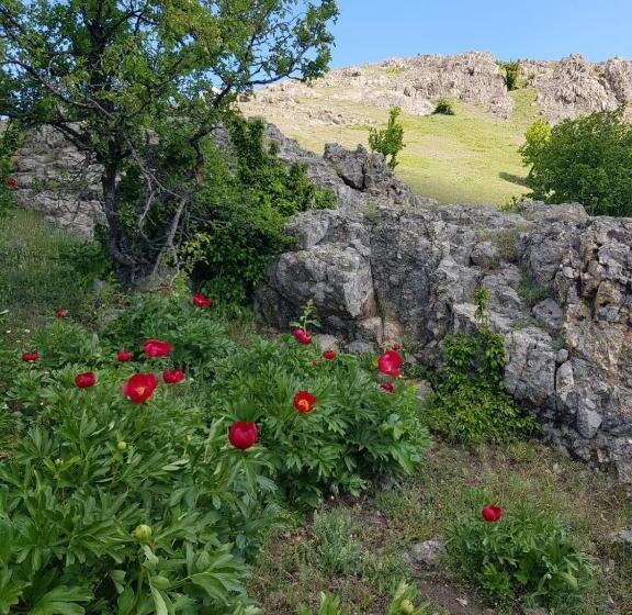 Pensiunea Agroturistică Angheliki