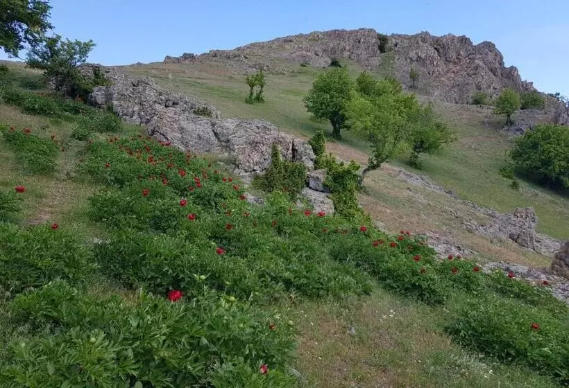 Pensiunea Agroturistică Angheliki