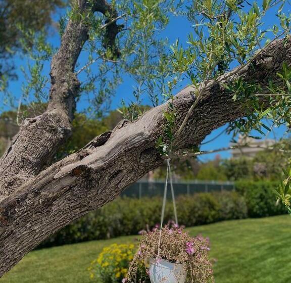 酒店 Salapia Salis Resort