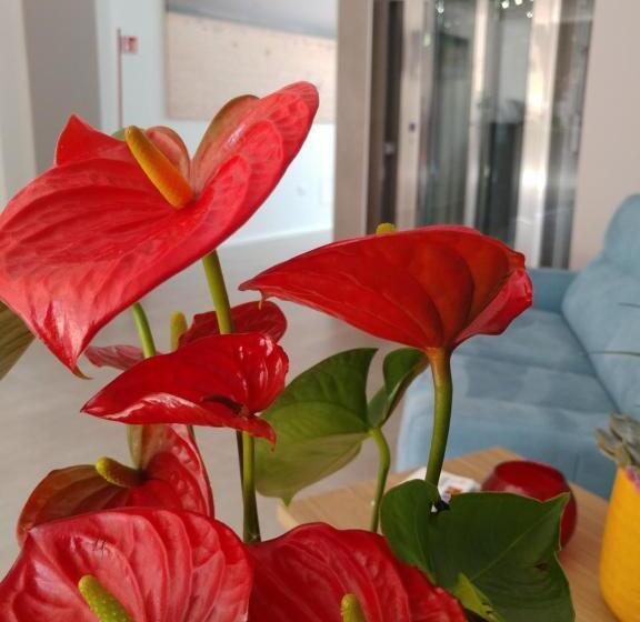 酒店 Salapia Salis Resort