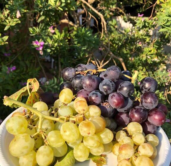 בית מלון כפרי Agriturismo Is Cortillaris