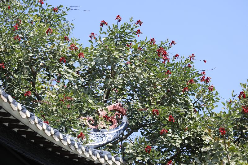 فندق Crowne Plaza Foshan Nanhai   An Ihg