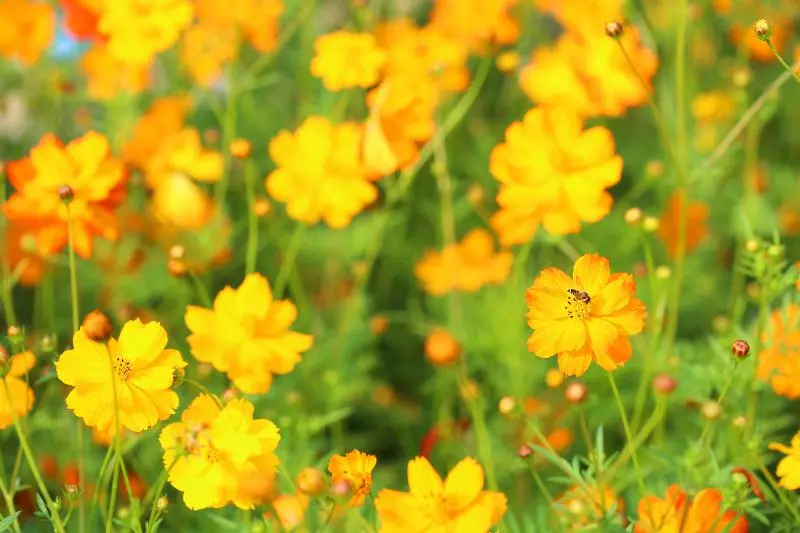 ホテル Crowne Plaza Foshan Nanhai   An Ihg