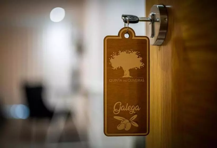 ホテル Quinta Das Oliveiras Turismo Rural
