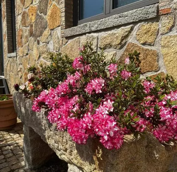 ホテル Quinta Das Oliveiras Turismo Rural