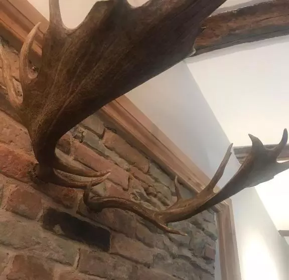 Lomakeskus Number 10 Locanda B&b