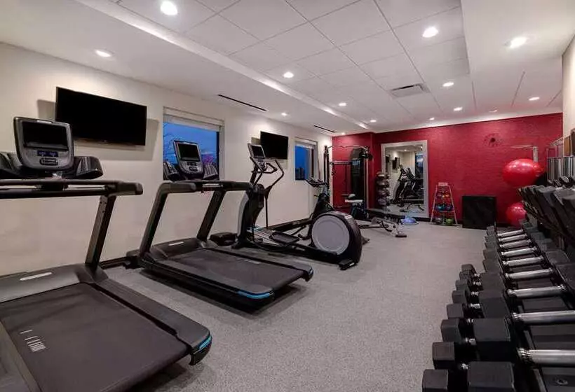 هتل Home2 Suites By Hilton Dekalb