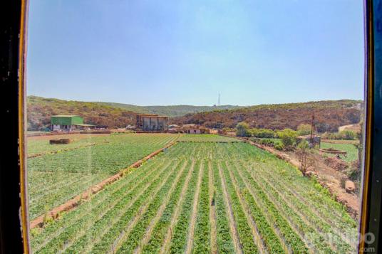 Hotelli Shilpa Strawberry Garden