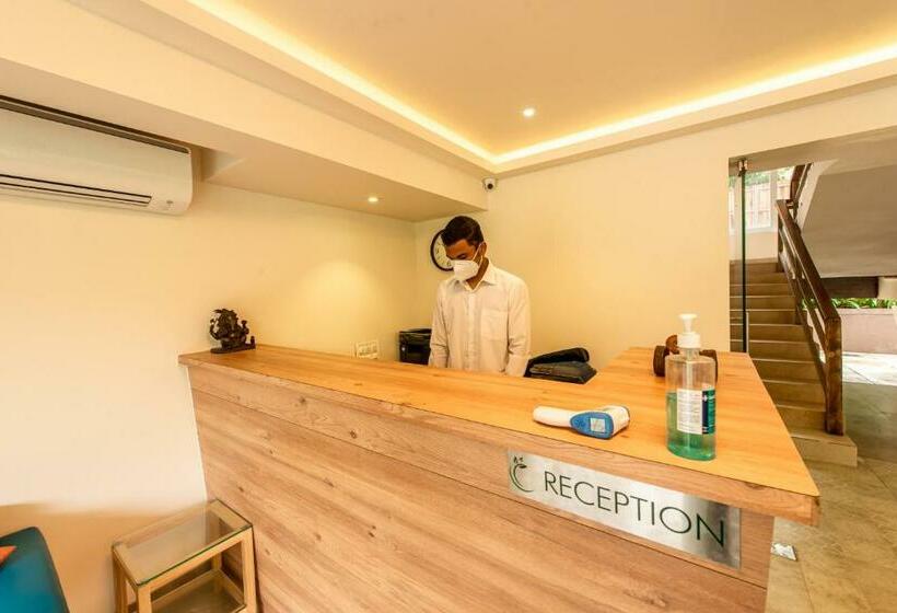 فندق The Green Boutique