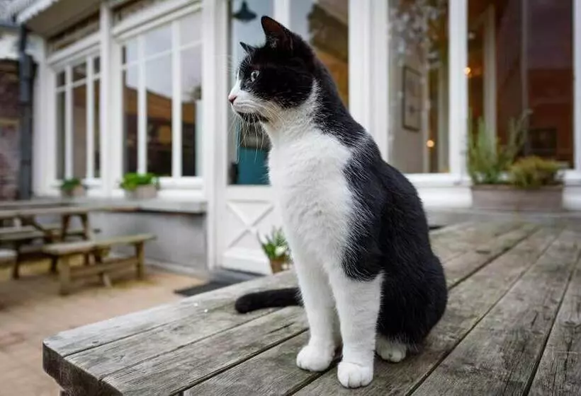 Majatalo Talbot House