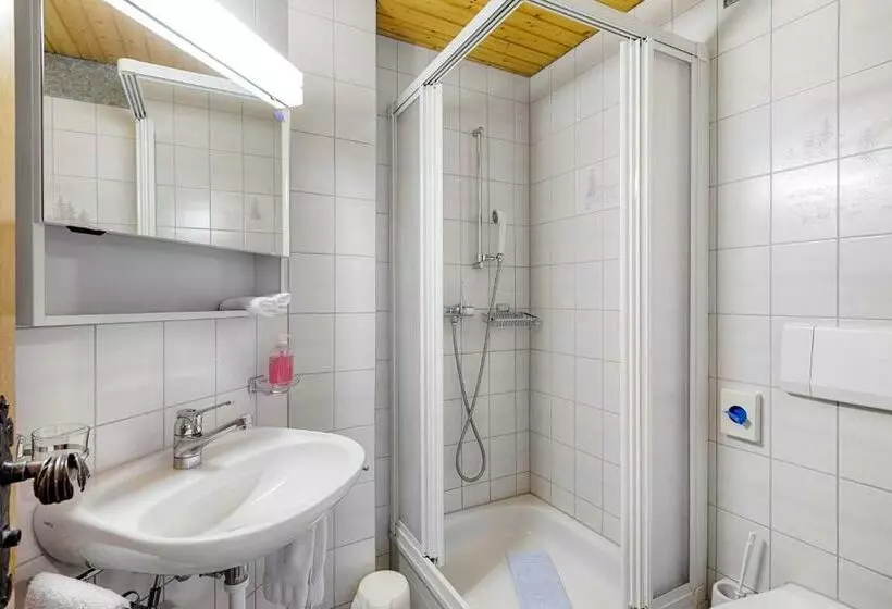 בית מלון כפרי Restaurant Alpina