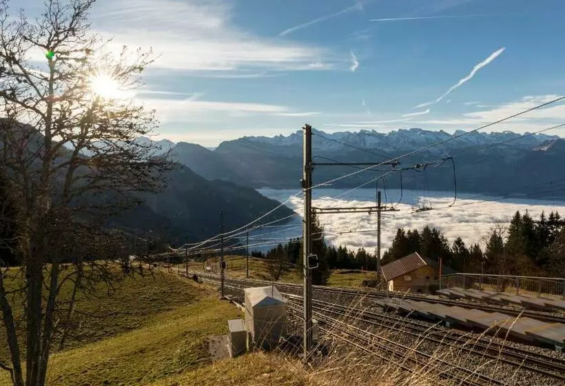 酒店 Restaurant Alpina