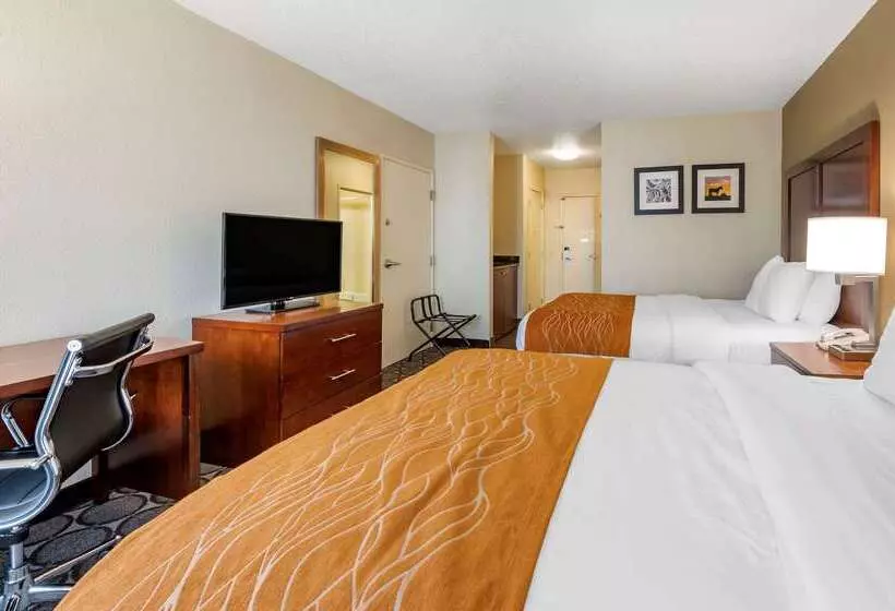 Szálloda Comfort Inn Airport Turfway Road