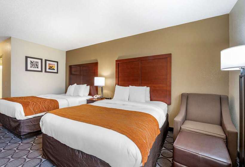 ホテル Comfort Inn Airport Turfway Road