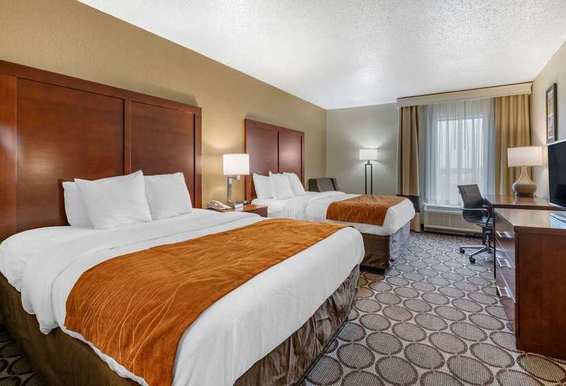 ホテル Comfort Inn Airport Turfway Road