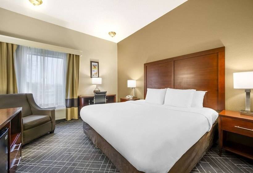 ホテル Comfort Inn Airport Turfway Road