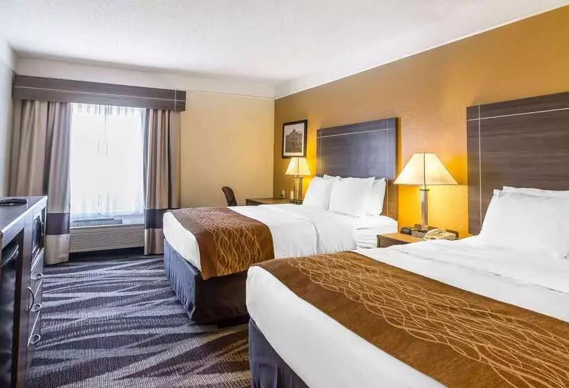 ホテル Comfort Inn Near Frost Bank Center