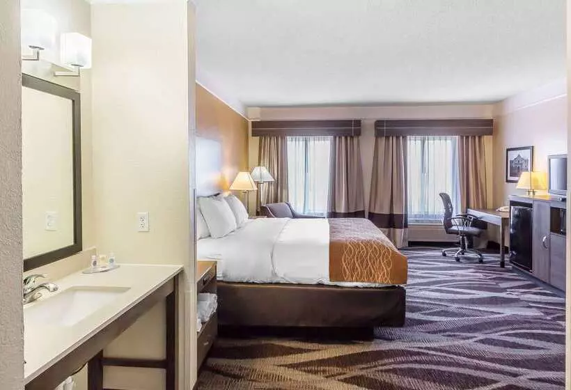 ホテル Comfort Inn Near Frost Bank Center