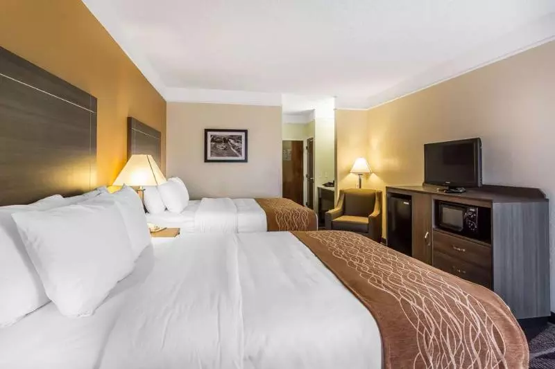 ホテル Comfort Inn Near Frost Bank Center