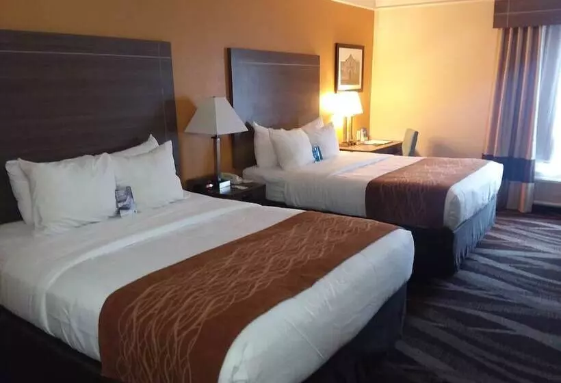 ホテル Comfort Inn Near Frost Bank Center