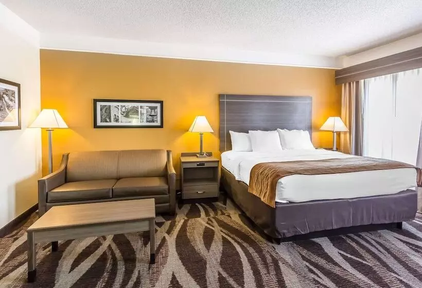 ホテル Comfort Inn Near Frost Bank Center