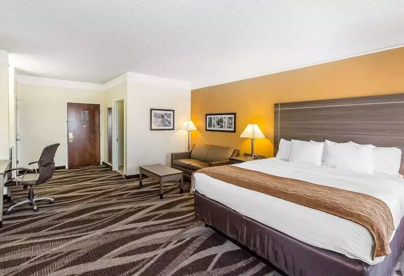 ホテル Comfort Inn Near Frost Bank Center