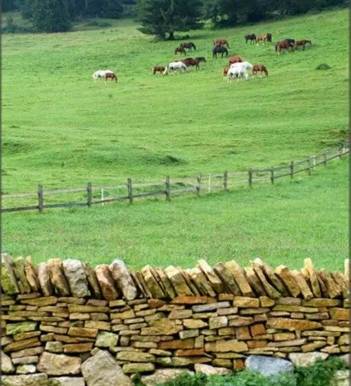 酒店 Georges Wenger