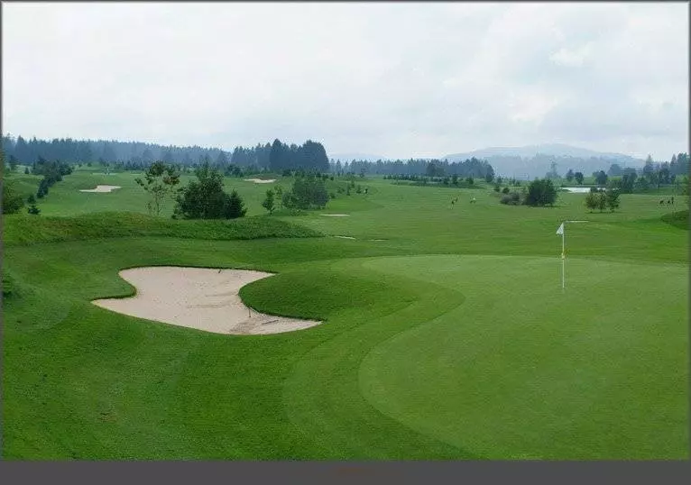 酒店 Georges Wenger