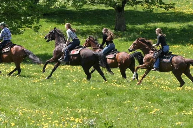 酒店 Georges Wenger